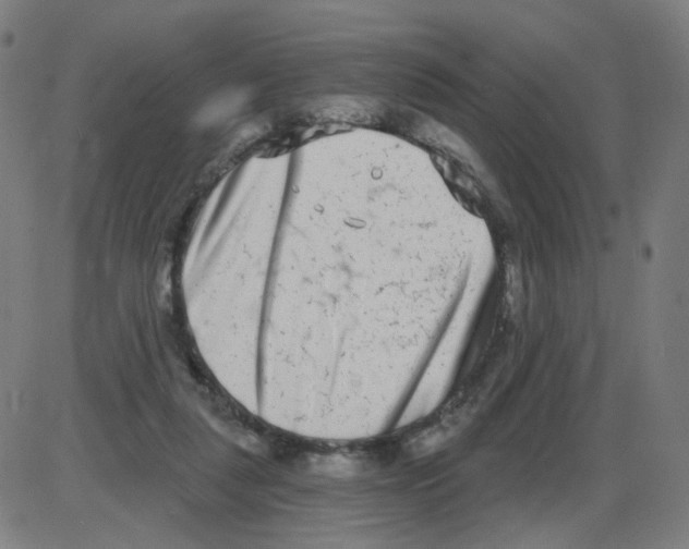 X0000084040259200703161839