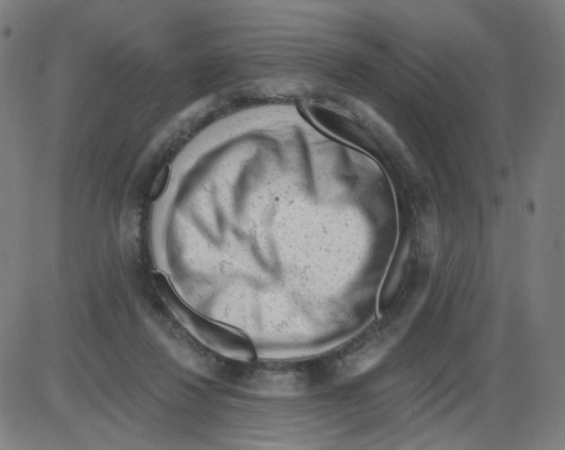 X0000084040260200703161839