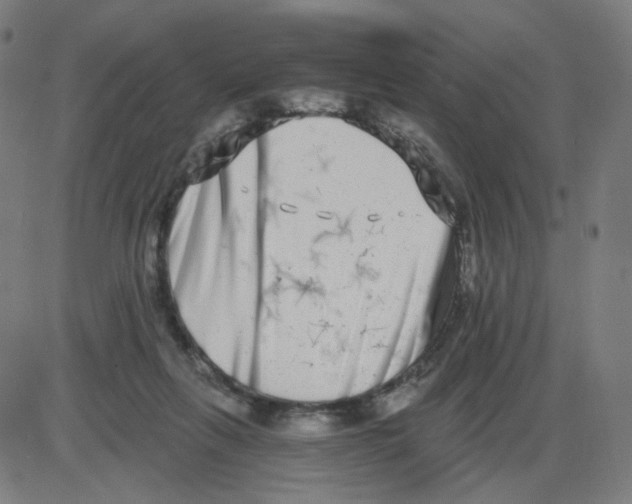 X0000084040263200703161839