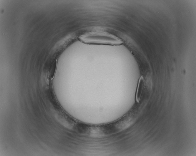 X0000084040264200703161839