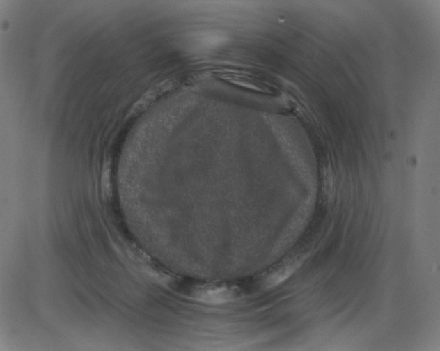 X0000084040267200703161839