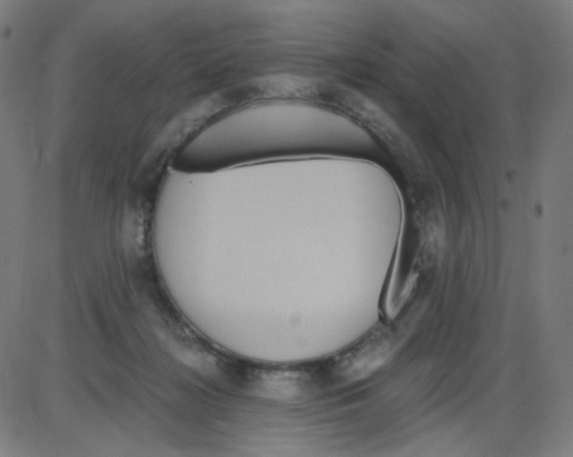 X0000084040268200703161839