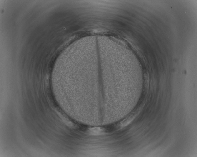 X0000084040269200703161839