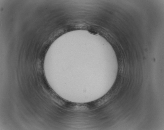 X0000084040270200703161839