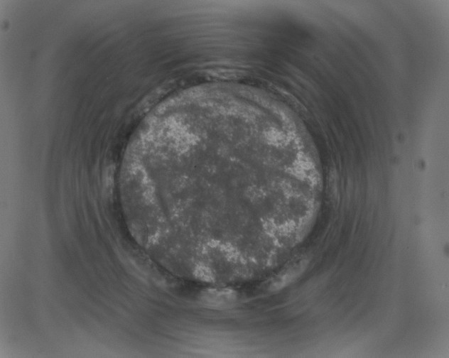 X0000084040271200703161839