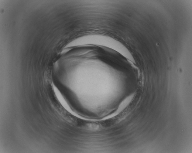 X0000084040272200703161839