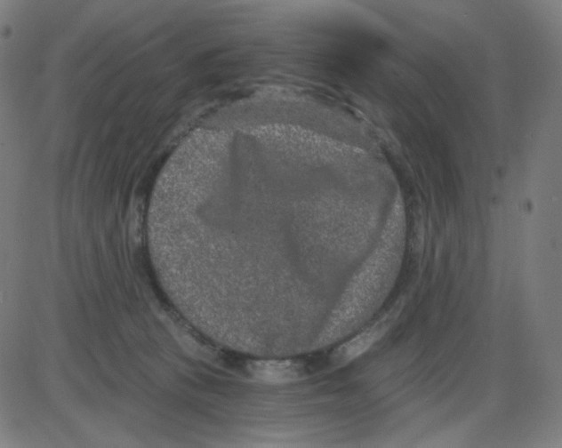 X0000084040273200703161839