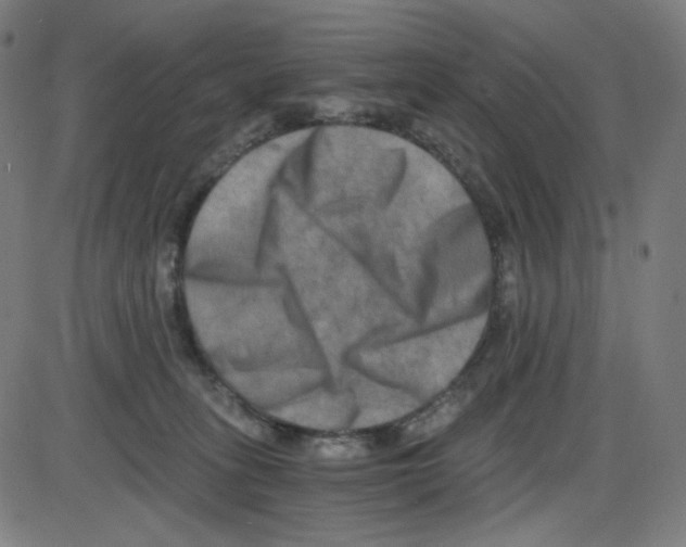 X0000084040275200703161839