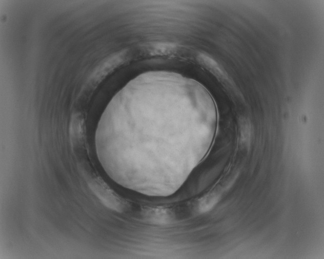 X0000084040276200703161839