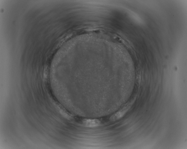 X0000084040277200703161839