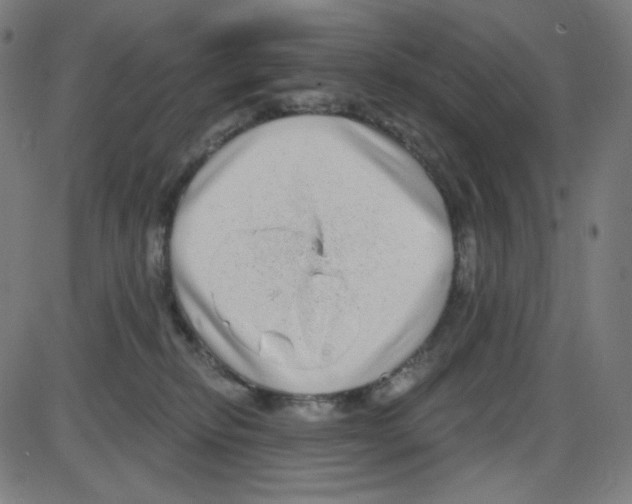 X0000084040278200703161839