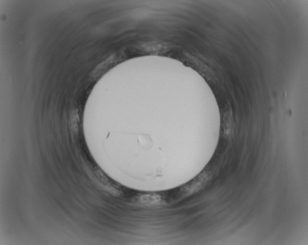 X0000084040279200703161839