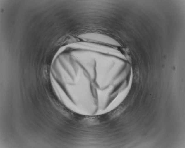 X0000084040280200703161839