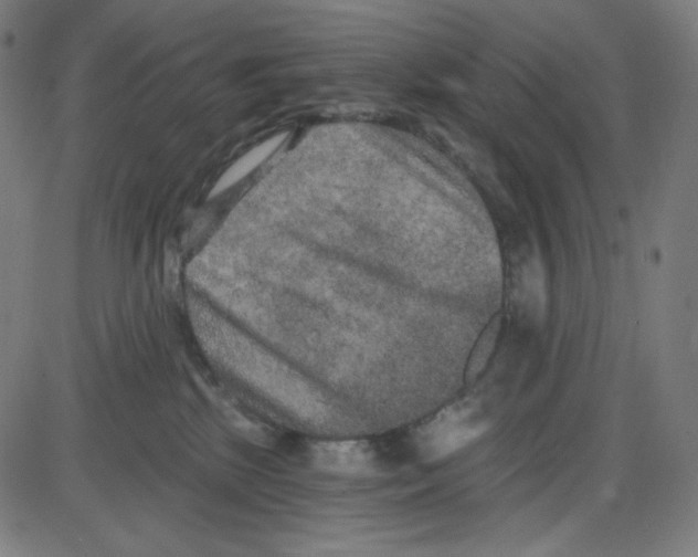 X0000084040281200703161839