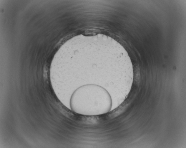 X0000084040282200703161839