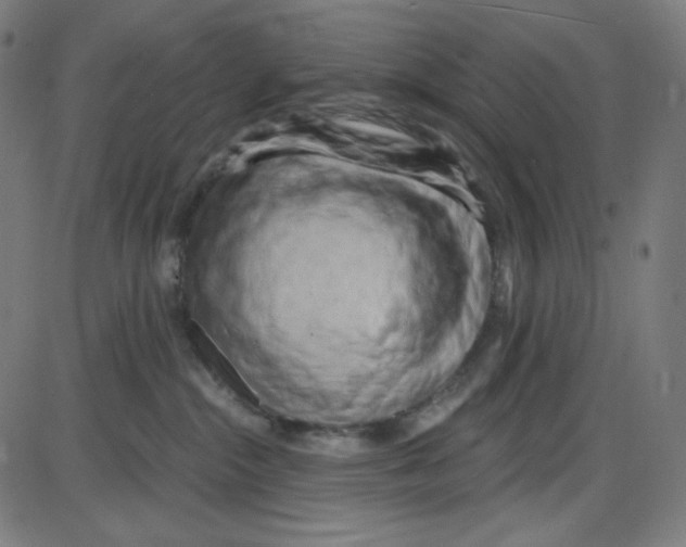 X0000084040284200703161839