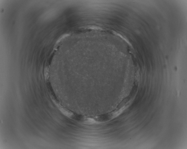 X0000084040285200703161839