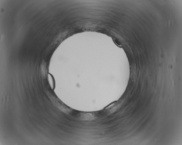 X0000084040287200703161839