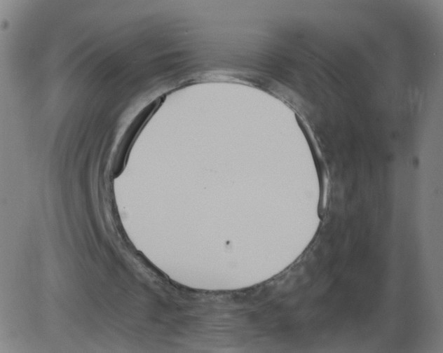 X0000084040289200703161838