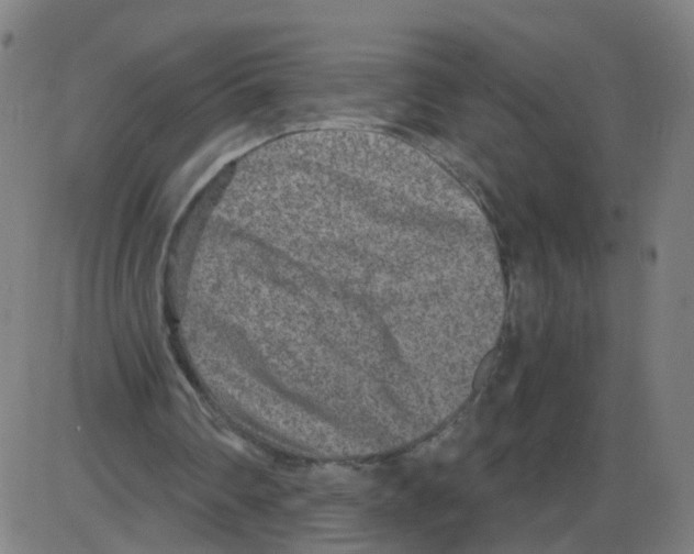 X0000084040290200703161838