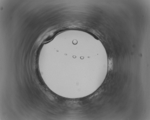 X0000084040291200703161838