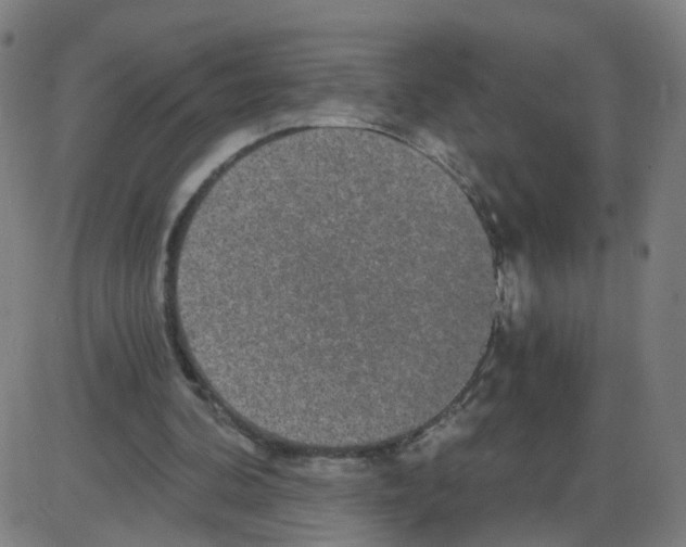 X0000084040292200703161838