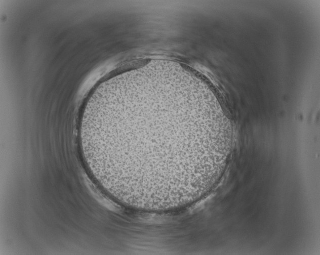 X0000084040293200703161838