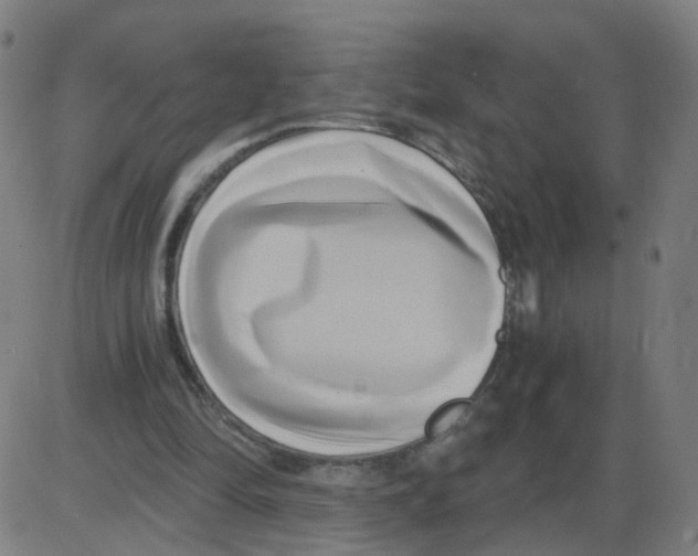 X0000084040294200703161838