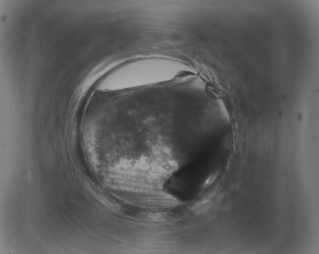 X0000084040295200703161838