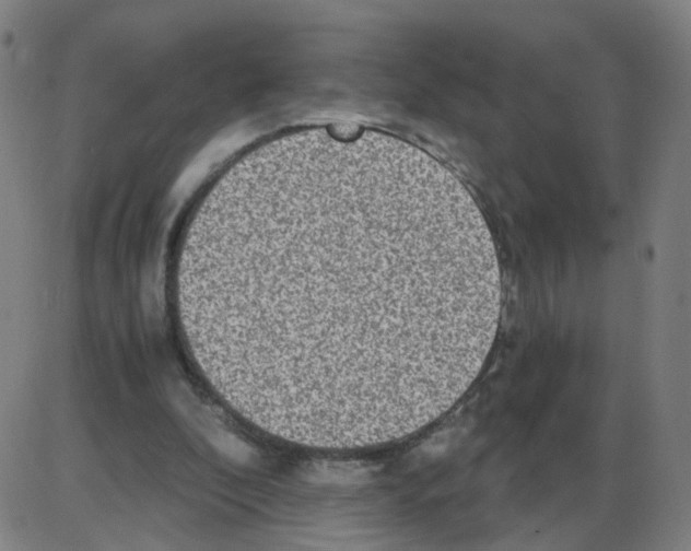 X0000084040296200703161838