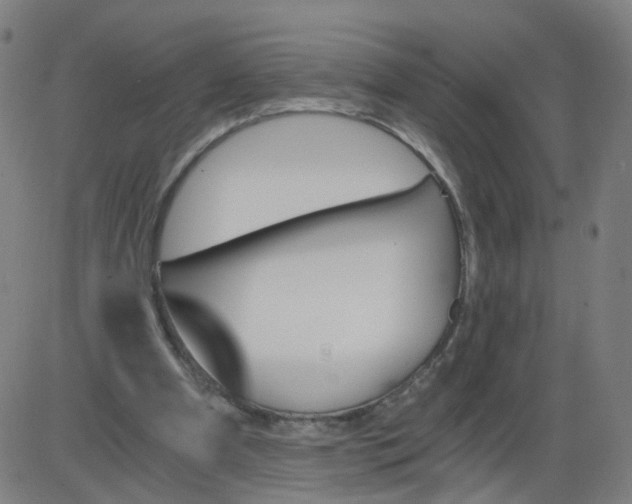 X0000084040297200703161838