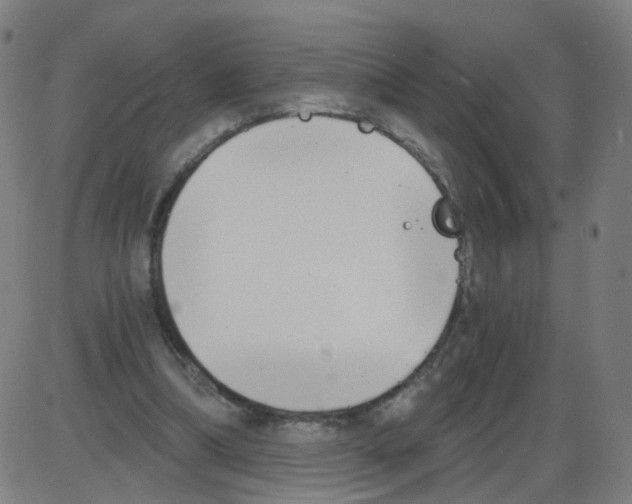 X0000084040298200703161838