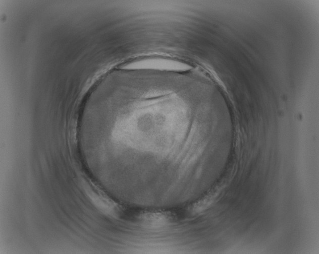 X0000084040299200703161838