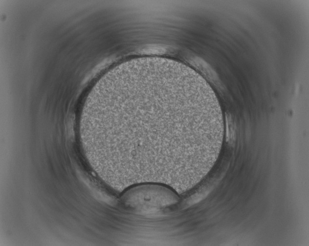 X0000084040300200703161838