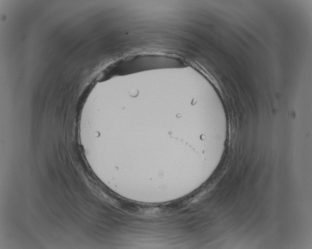 X0000084040301200703161838