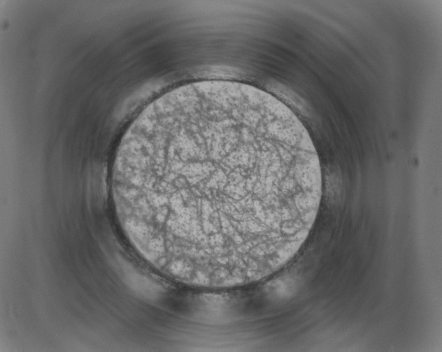 X0000084040302200703161838