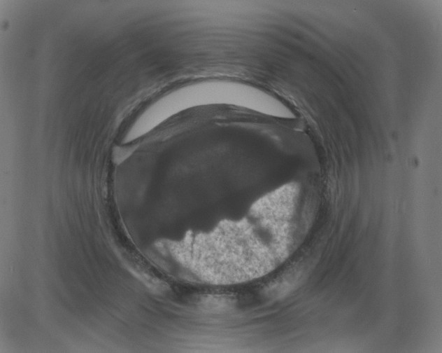 X0000084040303200703161838