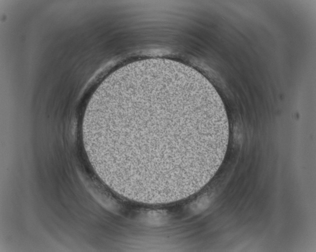 X0000084040304200703161838