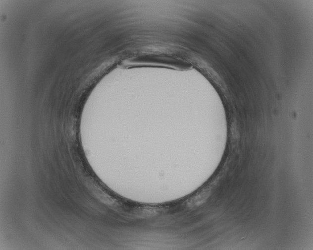 X0000084040305200703161838