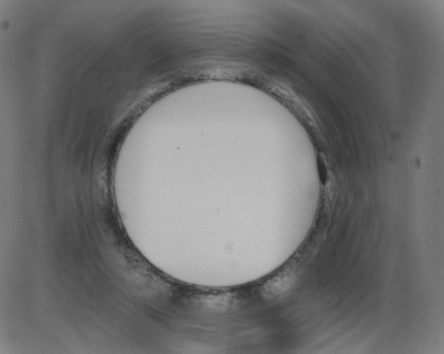 X0000084040306200703161838