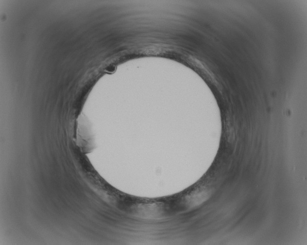 X0000084040307200703161838