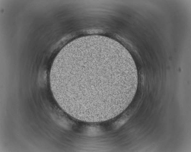 X0000084040308200703161838