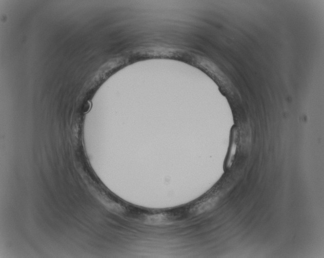 X0000084040309200703161838