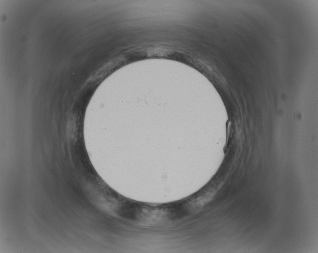 X0000084040311200703161838