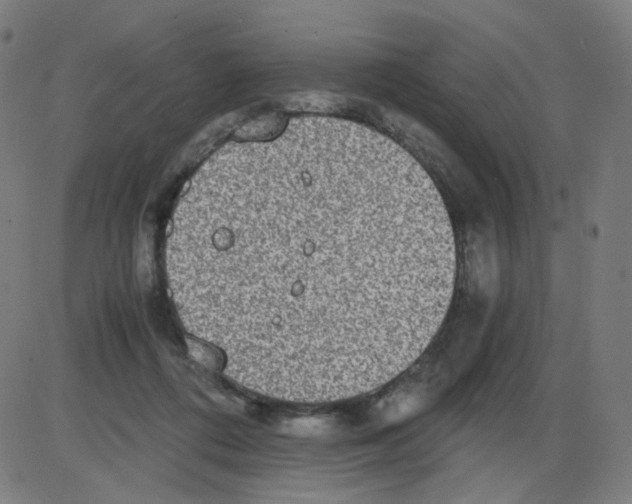 X0000084040312200703161838