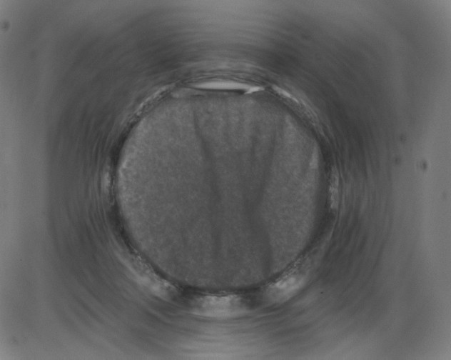 X0000084040314200703161838