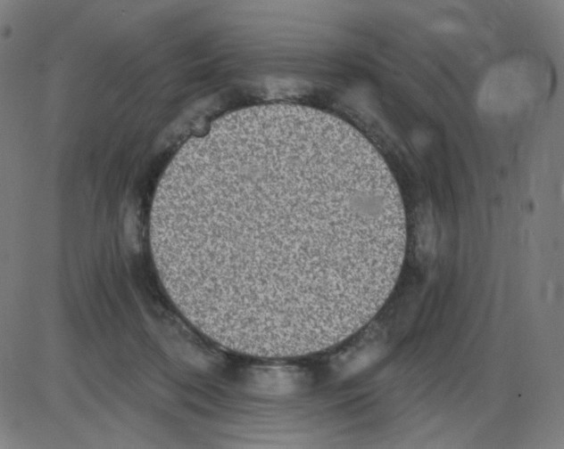 X0000084040316200703161838