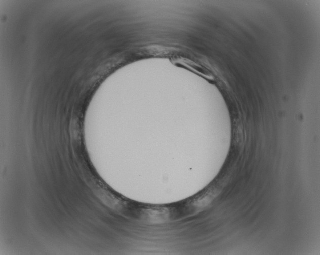 X0000084040317200703161838