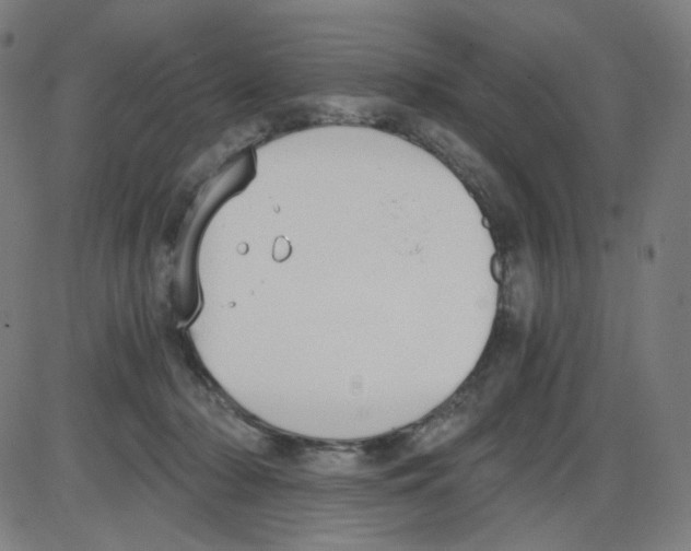 X0000084040318200703161838