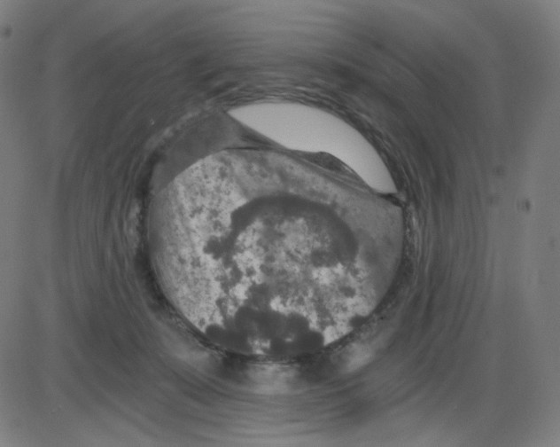 X0000084040319200703161838